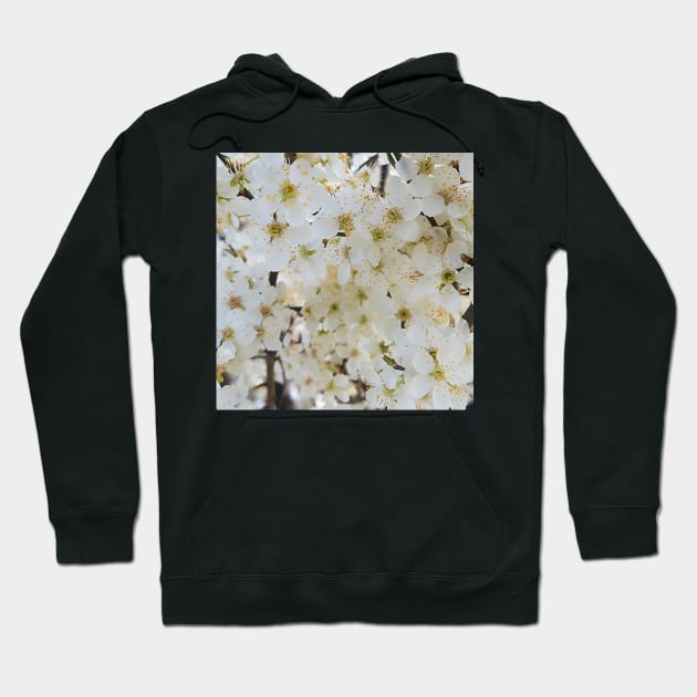 White Plum Blossom Background Hoodie by DesignMore21